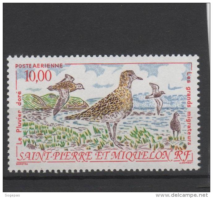 SAINT PIERRE ET MIQUELON PA  LE PLUVIER DORE  NEUFS ** - Unused Stamps