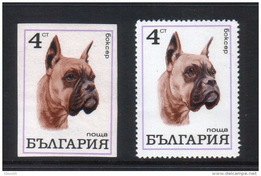 BULGARIA / Bulgarie 1970 Dogs -  ERROR Imperforated 4 St. ( * )no Gum. - Varietà & Curiosità