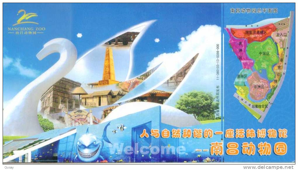 Nanchang Zoo,  Giraffe , Shark Requin Haie ,   Prepaid Card, Postal Stationery - Giraffen