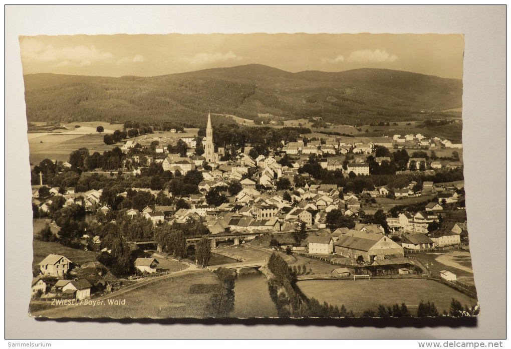 (6/4/78) AK "Zwiesel/Bayer. Wald" Panorama - Zwiesel