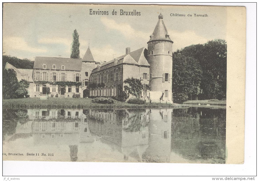 CP Environs De Bruxelles. Château De Ternat Ternath Légt Colorisé Vers 1905 Nels - Ternat