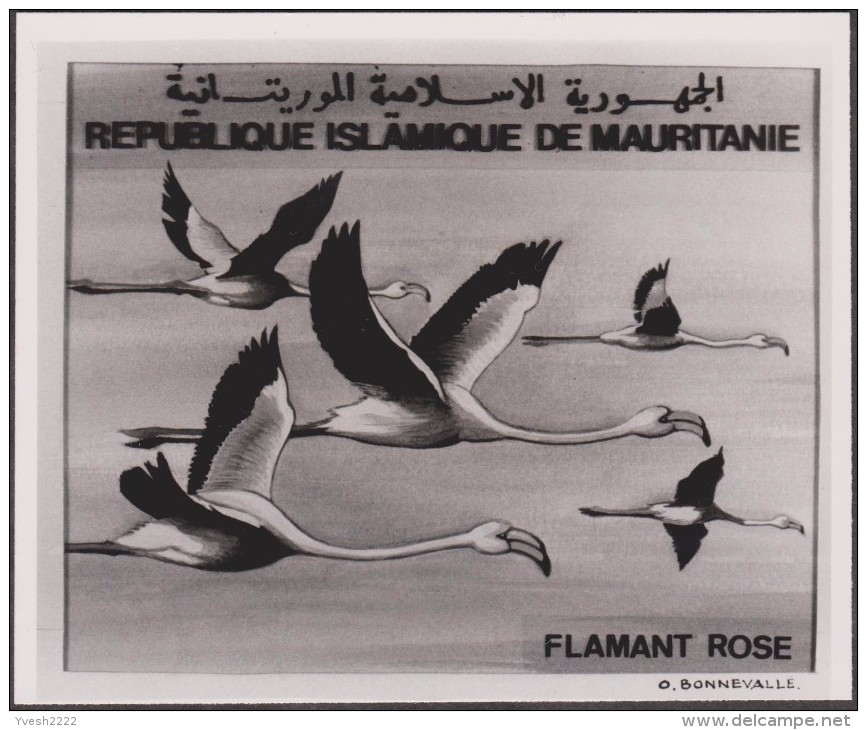 Mauritanie 1982 Y&T 504/5. Épreuves-photos Et Essai Offset. Oiseaux Du Banc D'Arquin. Pélicans Blancs Et Flamants Roses - Pellicani