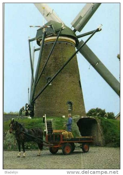 NISPEN Bij Roosendaal (N.Br.) - Molen/moulin - Molen Van Aerden In Werking. Paard En Wagen Brengen Het Graan. TOP! - Roosendaal