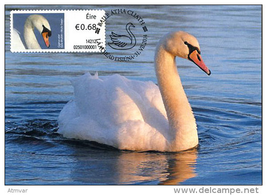 IRELAND (2014). Maximum Card / Carte Maximum ATM - Cisne / Cygne Muet / Höckerschwan / Mute Swan (Cygnus Olor) - Cartes-maximum