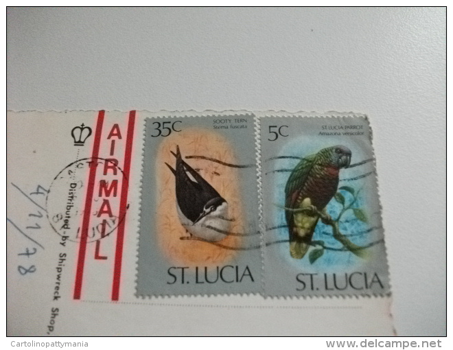 STORIA POSTALE FRANCOBOLLO COMMEMORATIVO UCCELLO BIRD ST LUCIA  WEST INDIES CARIBLUE - Sainte-Lucie