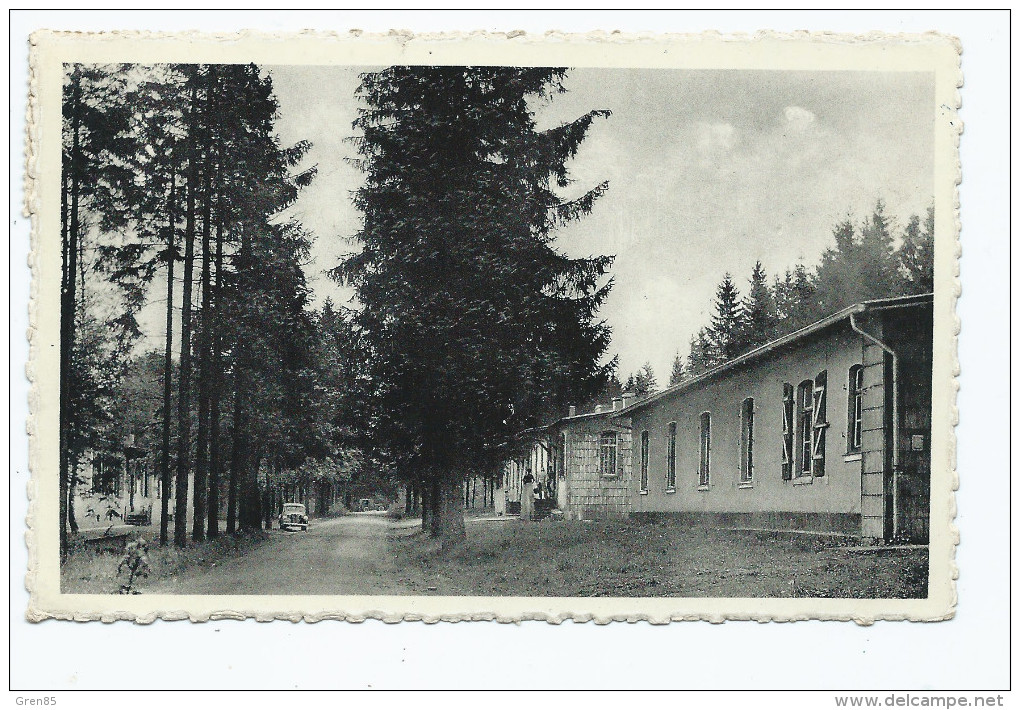 CPSM CAMP D´ELSENBORN, AVENUE LEOPOLD III, Format 9 Cm Sur 14 Cm Environ, PROVINCE DE LIEGE, BELGIQUE - Elsenborn (camp)