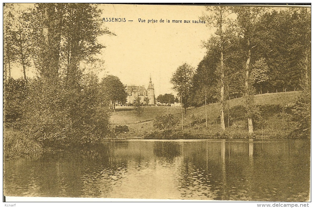 CP De ASSENOIS " Vue Prise De La Mare Aux Vaches "  Avec Cachet Relais De Assenois 1929. - Léglise