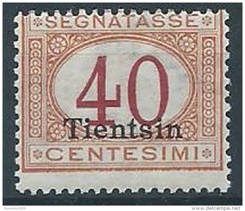 1917 UFFICIO POSTALI IN CINA TIENTSIN SEGNATASSE 40 CENT MNH ** - W010-2 - Tientsin