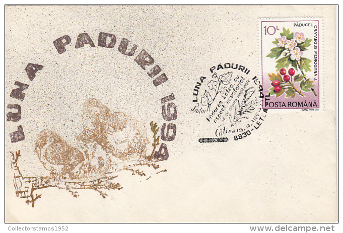 17685- MEDICINAL PLANTS, SEA BUCKTHORN, FOREST'S MONTH, SPECIAL COVER, 1994, ROMANIA - Medicinal Plants