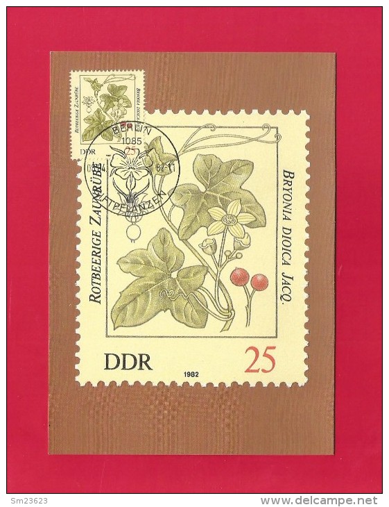 DDR 1982  Mi.Nr. 2694 , Rotbeerige Zaunrübe - Giftpflanzen - Maximumkarte - 06.04.1982 - Giftige Planten