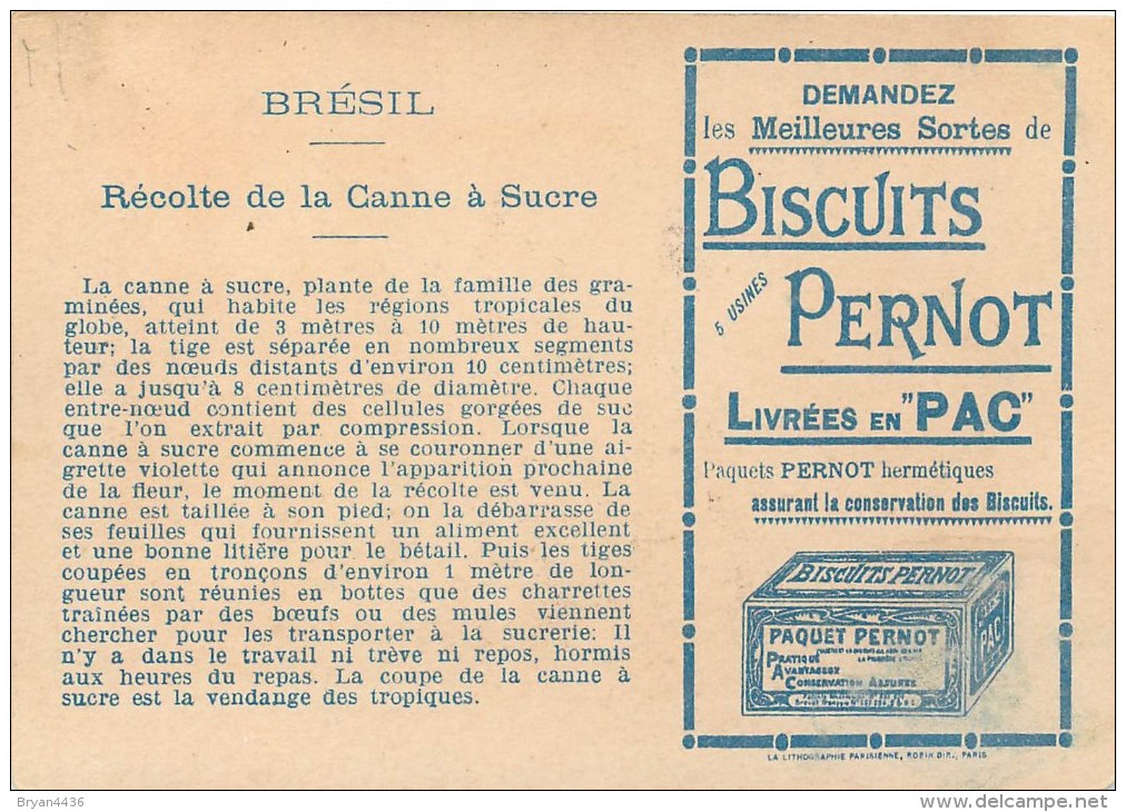 Biscuits Pernot - ** Algérie** - Le Travail Chez Tous Les Peuples - Voir 2 Scans - Pernot