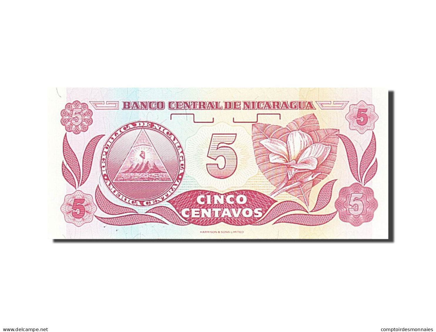 Billet, Nicaragua, 5 Centavos, 1991, NEUF - Nicaragua