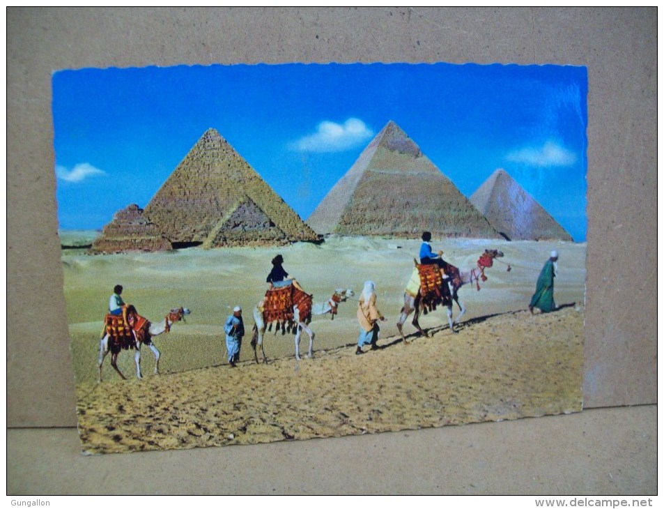 Tourists Near Pyramids Of "Gizeh" (Egitto) - Gizeh