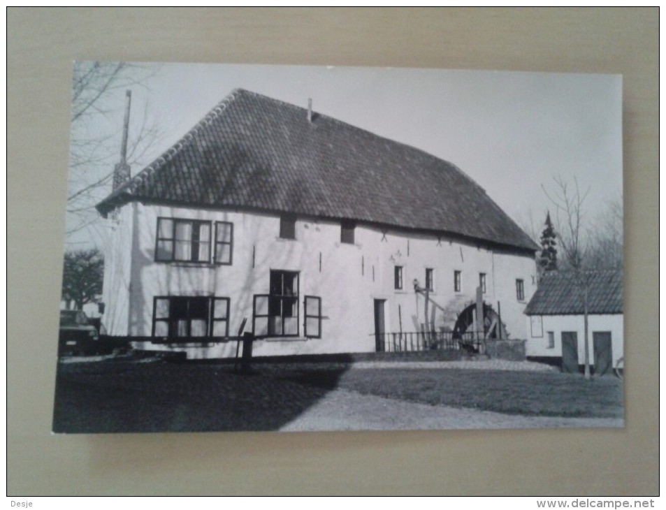 Grimbergen Tommenmolen(maalbeek) Van De Abdij Nu Museum - Grimbergen