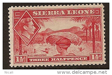 SIERRA LEONE 1938 1 1/2d KGVI SG 190 HM PL161 - Sierra Leone (...-1960)