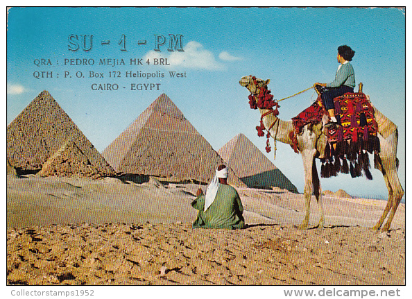 19142- GIZEH- THE PYRAMIDS, MEN, CAMELS - Guiza