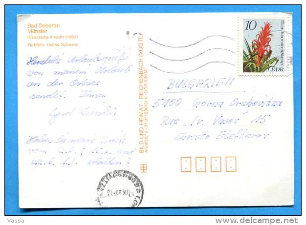 DDR -   Bad Doberan  Im J 1800 - PC Franked With Flower Stamp And Mailed To Christo Elefterov Bulgaria - Bad Doberan