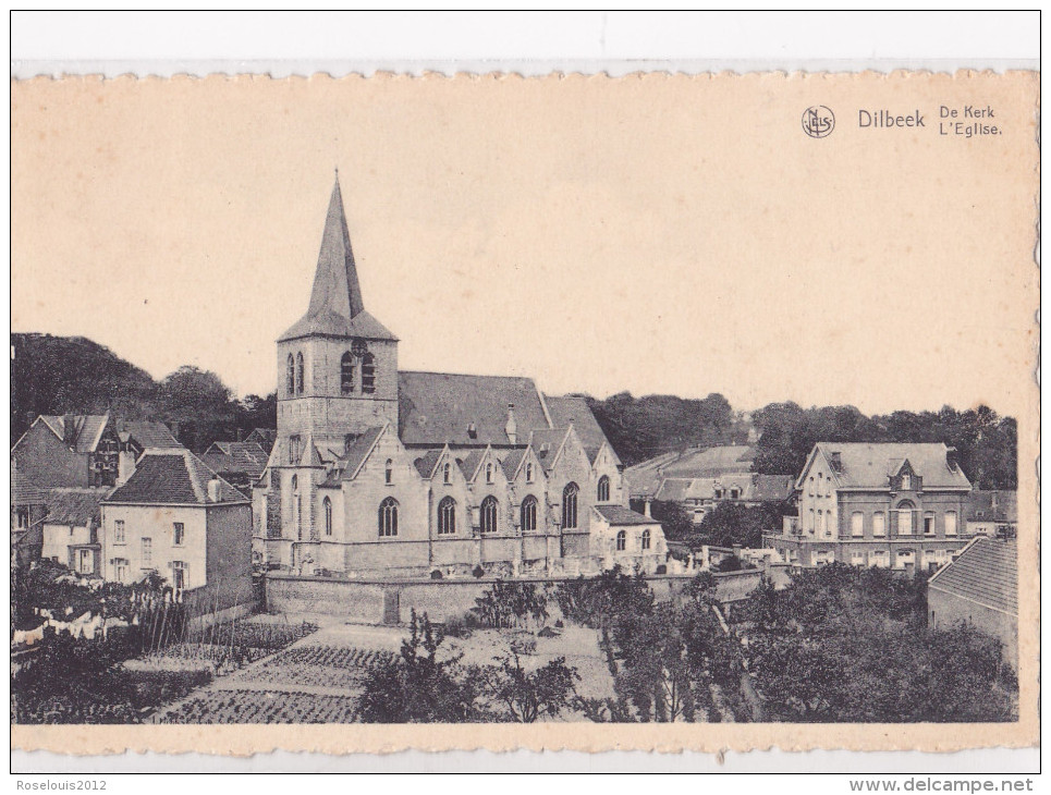 DILBEEK : De Kerk - Dilbeek