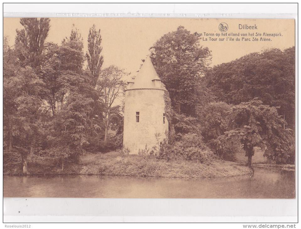 DILBEEK : Den Toren Op Het Eiland Van Het Ste Alenapark - Dilbeek