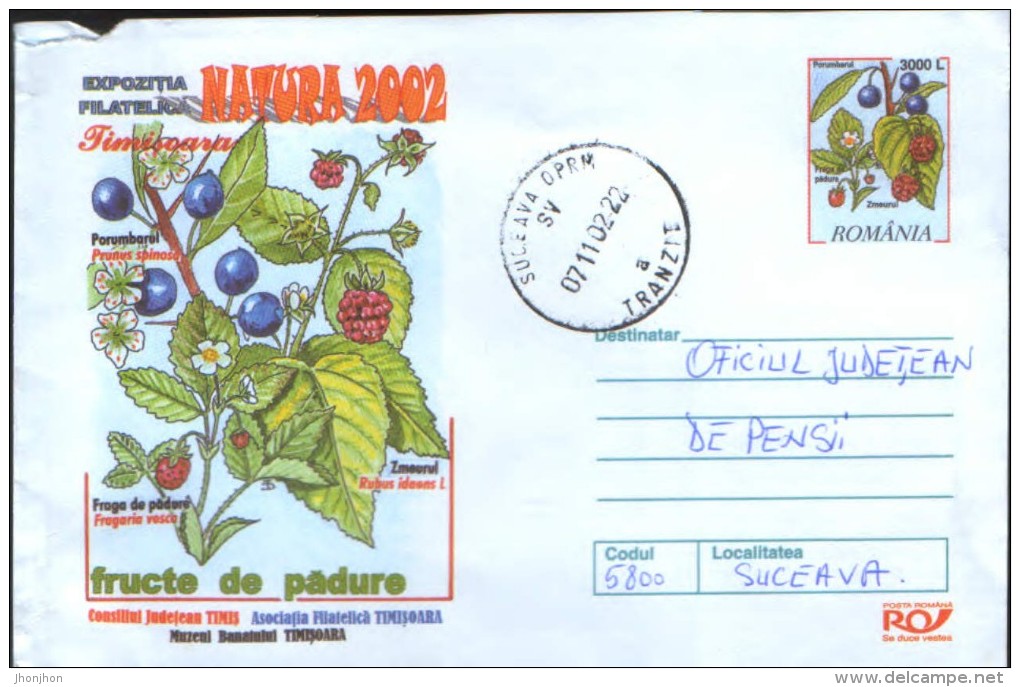 Romania - Postal Stationery Cover 2002 Used- Medicinal Plants- Blackthorn(prunus Spinosa), Wild Berries And Raspberry ; - Medicinal Plants