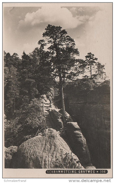 AK Fleischmann Nr 206 Schrammsteine Gratweg Stiege A Schmilka Schandau Postelwitz Kirnitzschtal Sächsische Schweiz - Kirnitzschtal