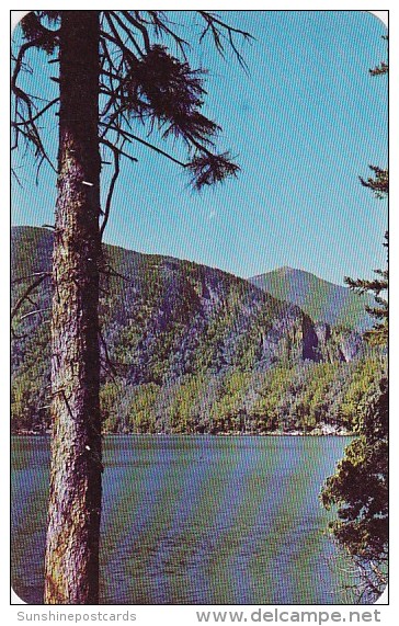 Whiteface Mountain From Copperas Pond In The Adirondack Region New York - Adirondack