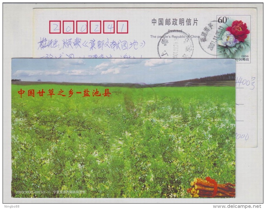 Hometown Of Chinese Glycyrrhiza Uralensis,traditional Chinese Medicine,CN03 Yanchi Planting Industry Pre-stamped Card - Medicinal Plants