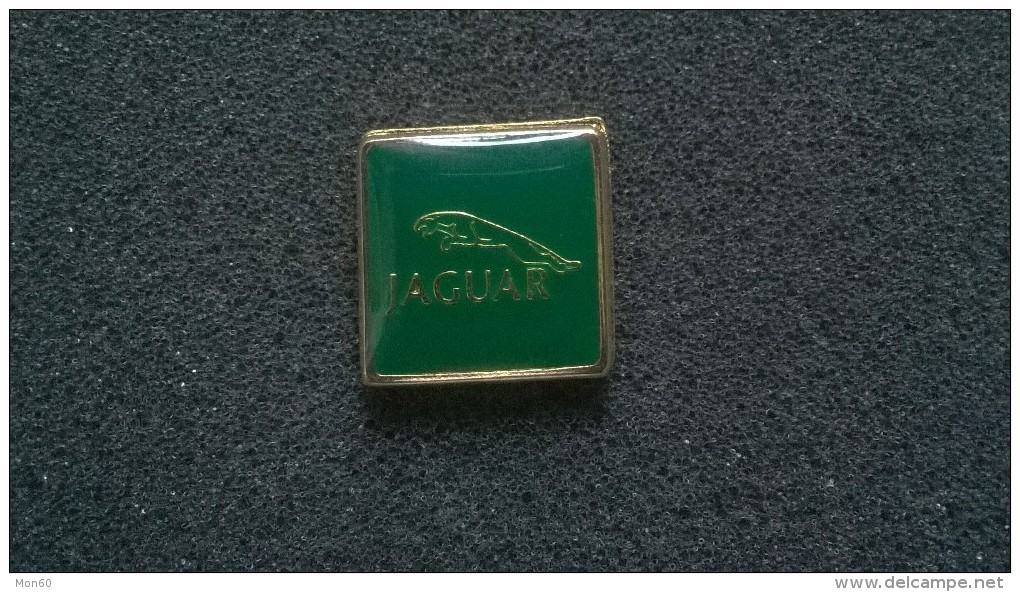 Pin Jaguar -P176 - Jaguar