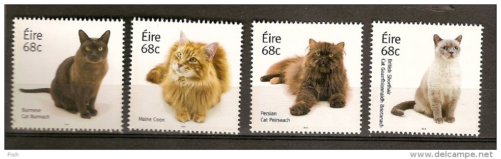 Irlanda ** & Gatos 2014 (2109) - Lettres & Documents