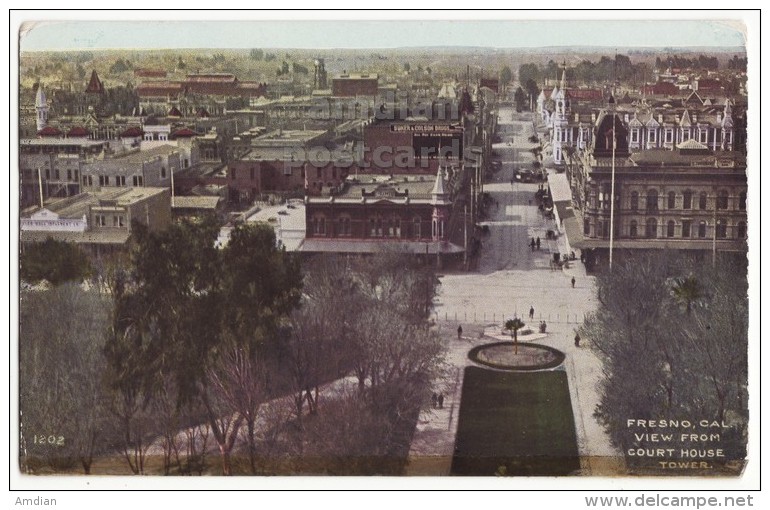 Fresno CA Town View From Court House Tower C1900s California Vintage Postcard [8391] - Fresno