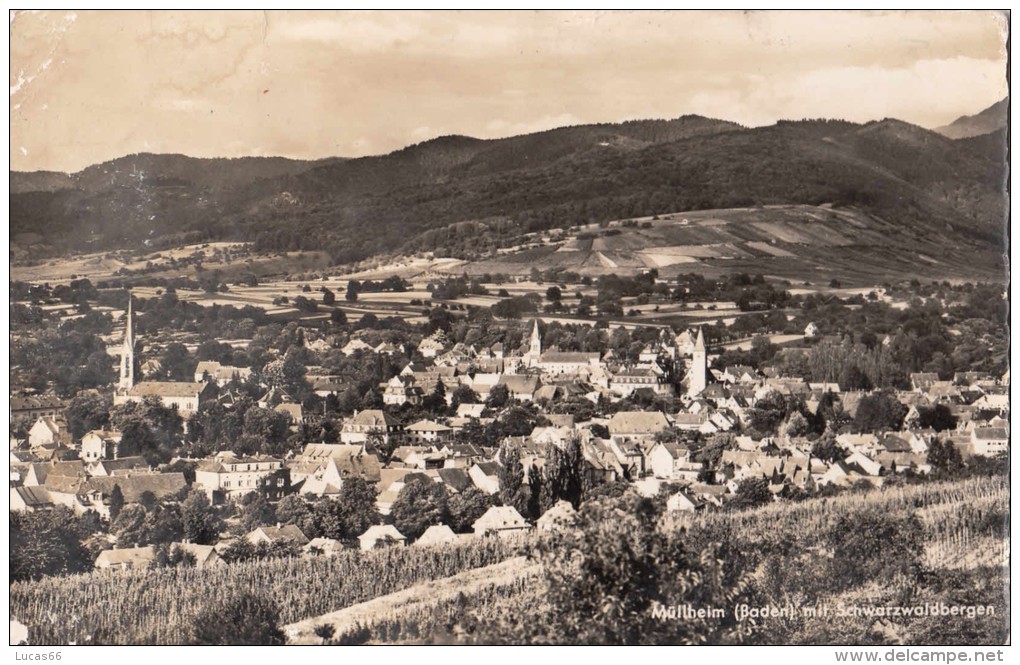 1950 CIRCA MULLHEIM MIT SCHWARZWALDBERGEN - Muellheim