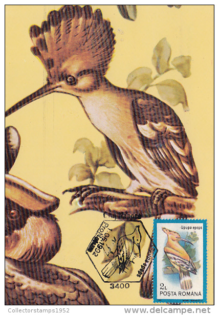 21116- HOOPOE, BIRDS, MAXIMUM CARD, 1992, ROMANIA - Pics & Grimpeurs