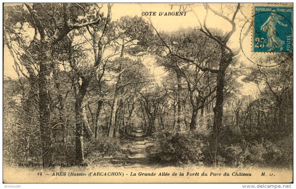 N°702  JJJ 63  ARES LA GRANDE ALLEE DE LA FORET DU PARC DU CHATEAU - Arès