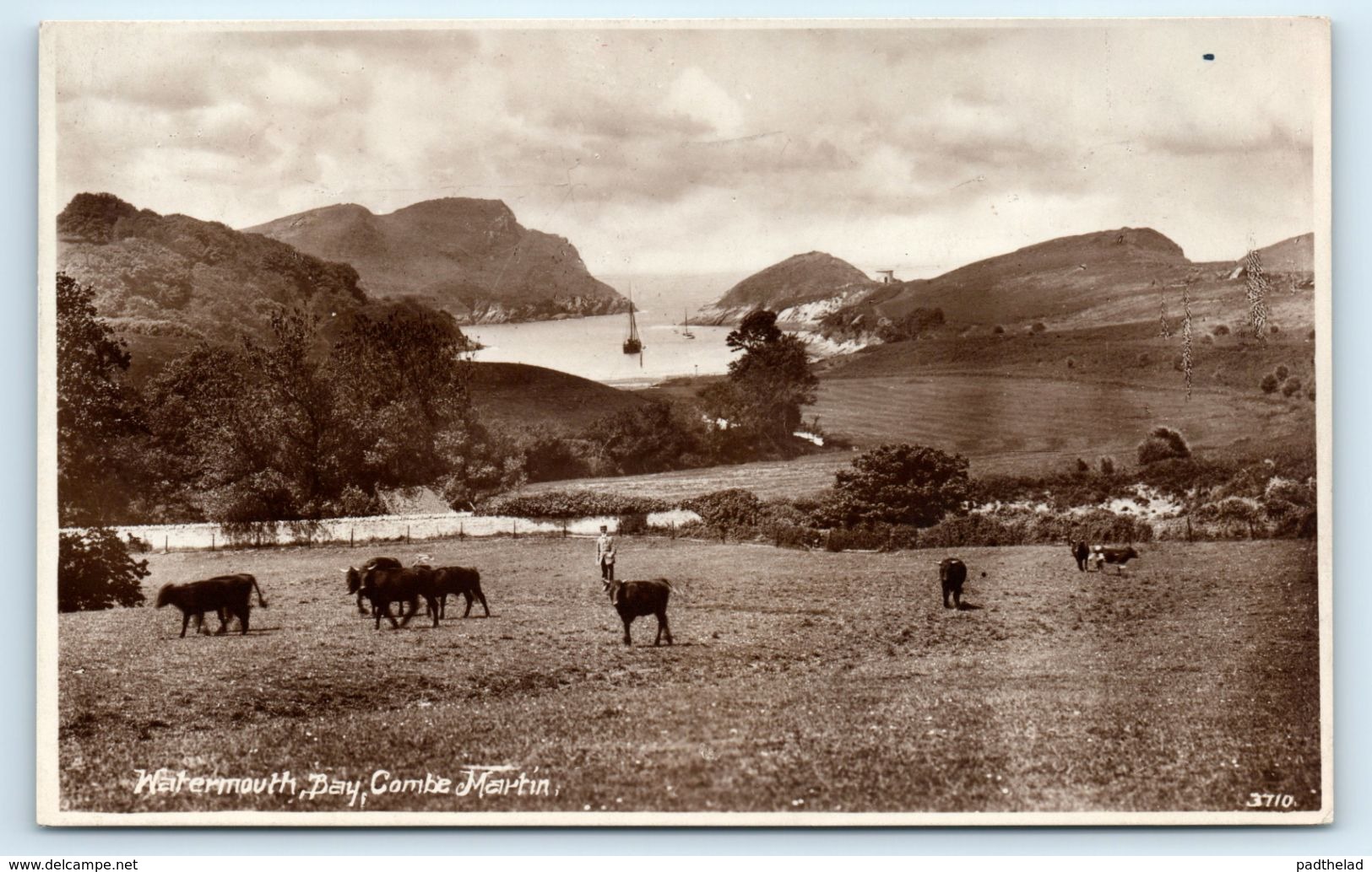 POSTCARD WATERMOUTH BAY COMBE MARTIN 3710 CATTLE RURAL SCENE COWS BW SENT TO WITHINGTON MANCHESTER - Ilfracombe