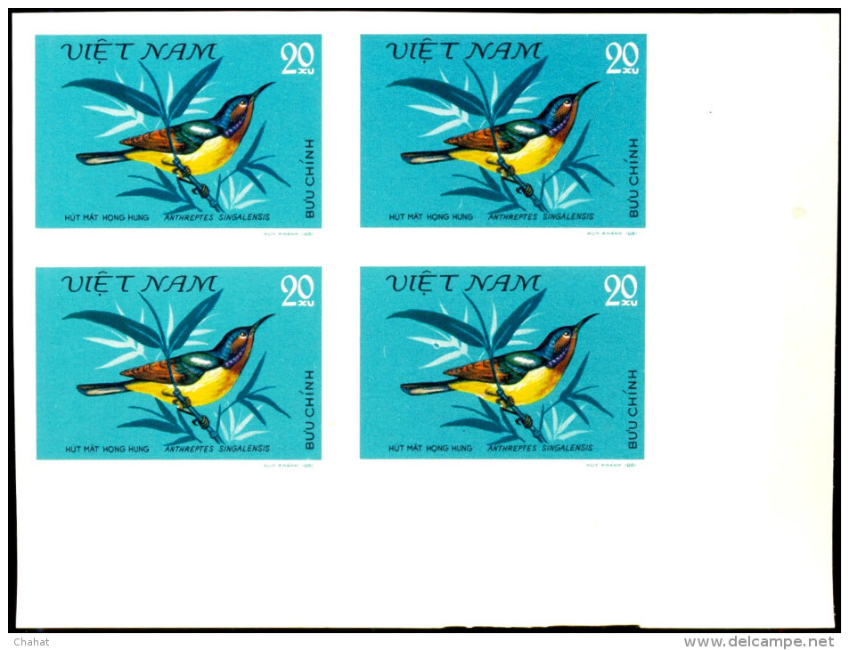 HUMMING BIRDS-SUN BIRDS-IMPERF BLOCKS-SET-VIETNAM-SCARCE-MNH-A5-669 - Colibris