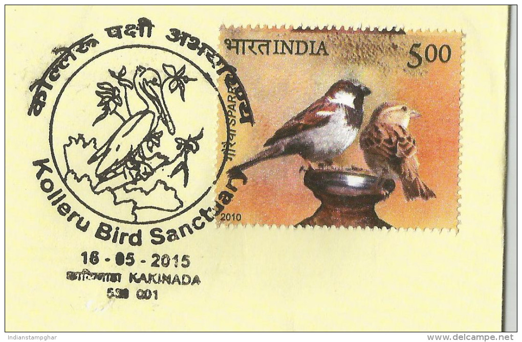 Kolleru Bird Sanctuary,Migratory Birds Include Grey Or Spot Billed Pelican, Siberian Crane,Painted Storks, Cover 2015 - Pernice, Quaglie