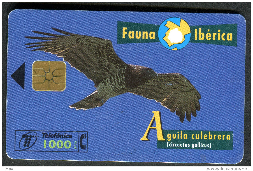 Spain - Phonecard - Birds - Eagles - Used - Aigles & Rapaces Diurnes