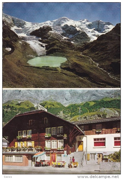 HOTEL ALPENROSE GADMEN AM SUSTENPASS - Gadmen 