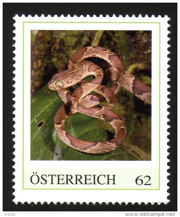 ÖSTERREICH 2013 ** Riemennatter / Imandotes Cenchoa - PM Personalized Stamp MNH - Timbres Personnalisés