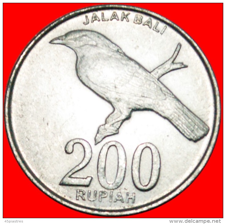 * BIRD: INDONESIA ★ 200 RUPIAH 2003! Not 2008! LOW START &#9733; NO RESERVE! - Indonesië