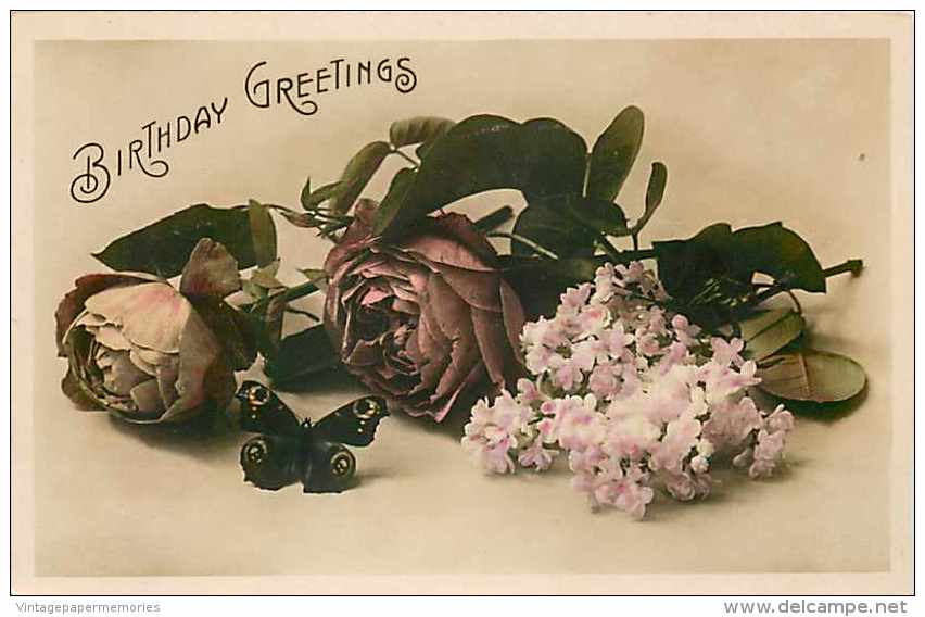 240479-Birthday Greeting, Rotograph RPPC, Butterfly & Roses - Papillons