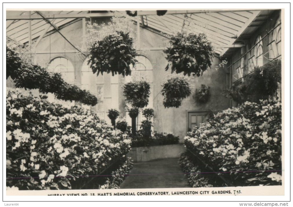 (PH 321) Australia - TAS - Lauceston City Gardens (very Old) - Lauceston