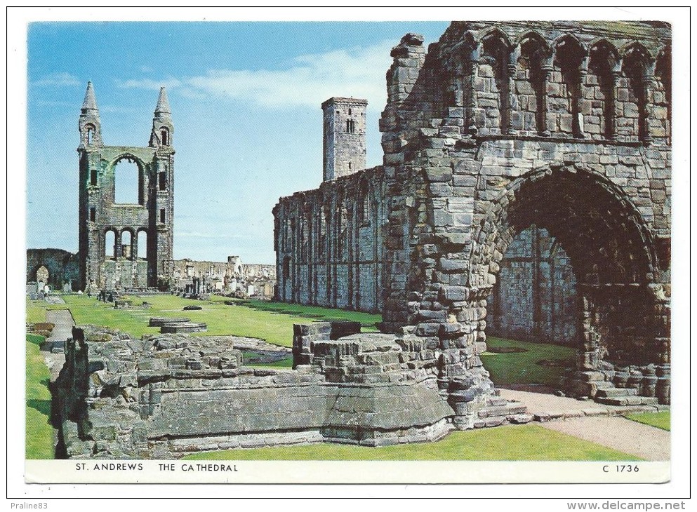 SAINT ANDREWS, THE CATHEDRALE - Ecosse, Royaume Unis - Ecrite - Fife