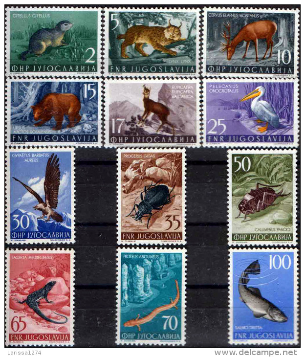 YUGOSLAVIA 1954 Fauna I Deer Bear Eagle Fish Trout Lizard Set MNH - Full Years