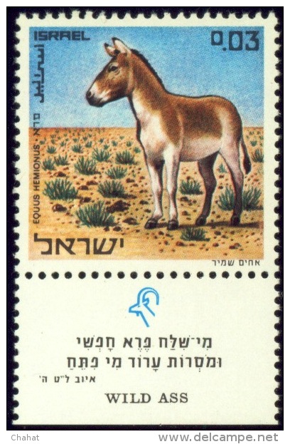 WILD LIFE-DONKEYS-WILD ASS-ISRAEL WITH TAB-MNH-SCARCE-B8-50 - Donkeys