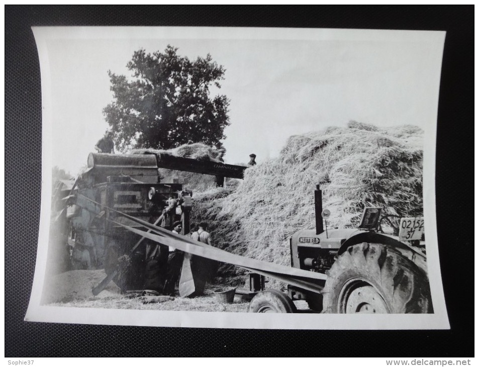 Photo (non Cpa) Scène De Battage - Tractors