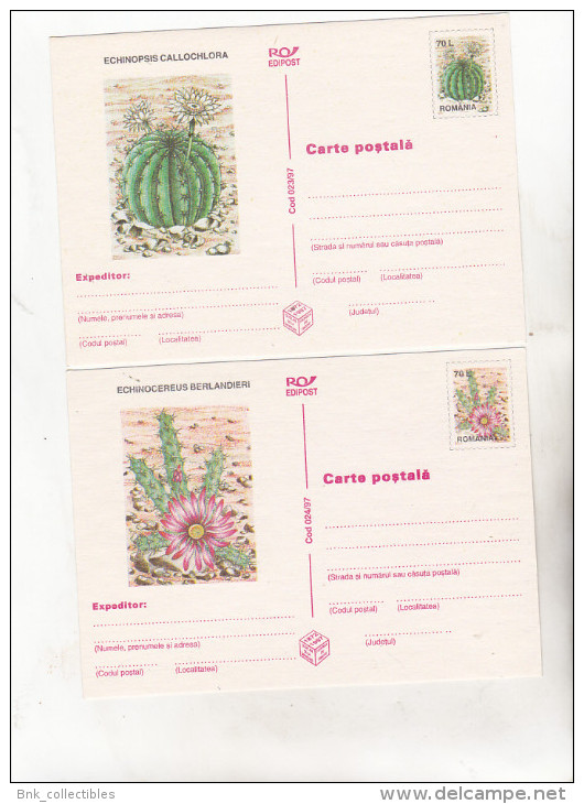 Romania 1997 Uncirculated Set Of 6 Postcards  -  Cactusses - - Cactusses