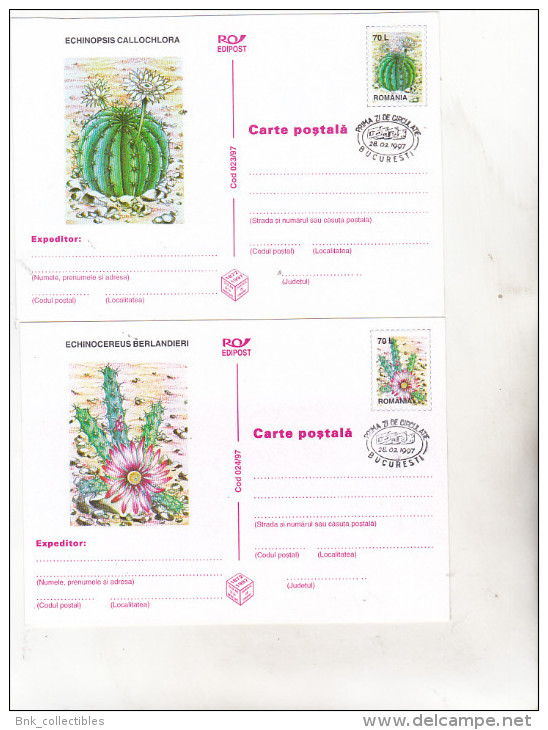 Romania 1997 Uncirculated Set Of 6 Postcards  -  Cactusses - First Day Cancelation - Cactusses