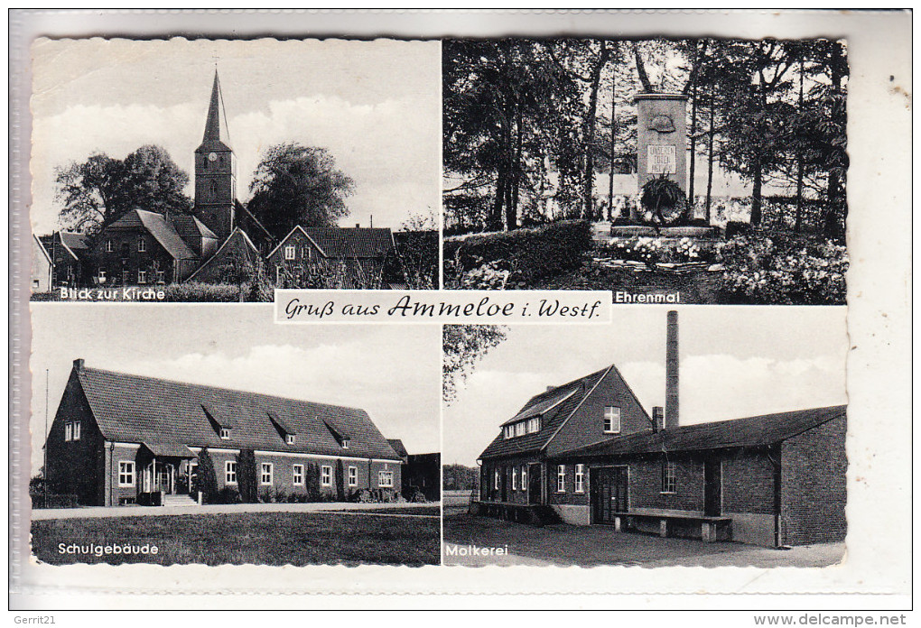 4426 VREDEN - AMMELOE, Molkerei - Schule - Kirche - Ehrenmal, 1959 - Vreden