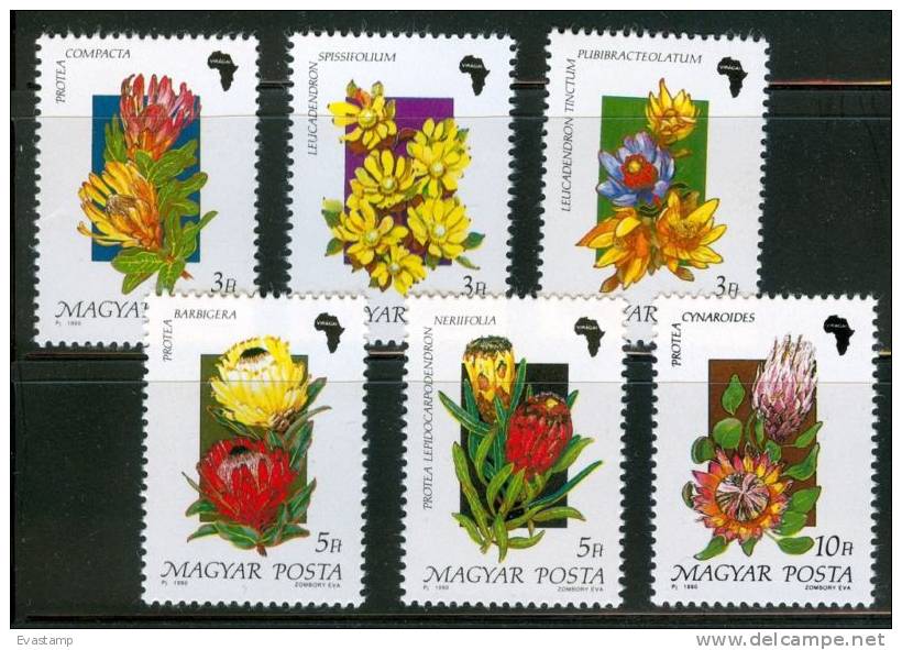 HUNGARY - 1990. Flowers Of Africa (Protea)Cpl. Set MNH! Mi:4075-4080 - Nuovi